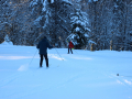 IMG_5517