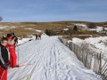 IMG_2072